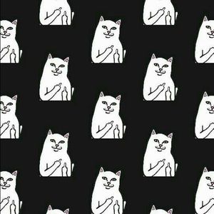 Meet your Posher, Isabella